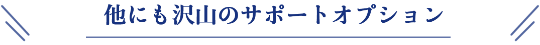 他にもたくさんのサポートオプション